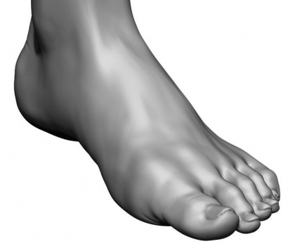 foot